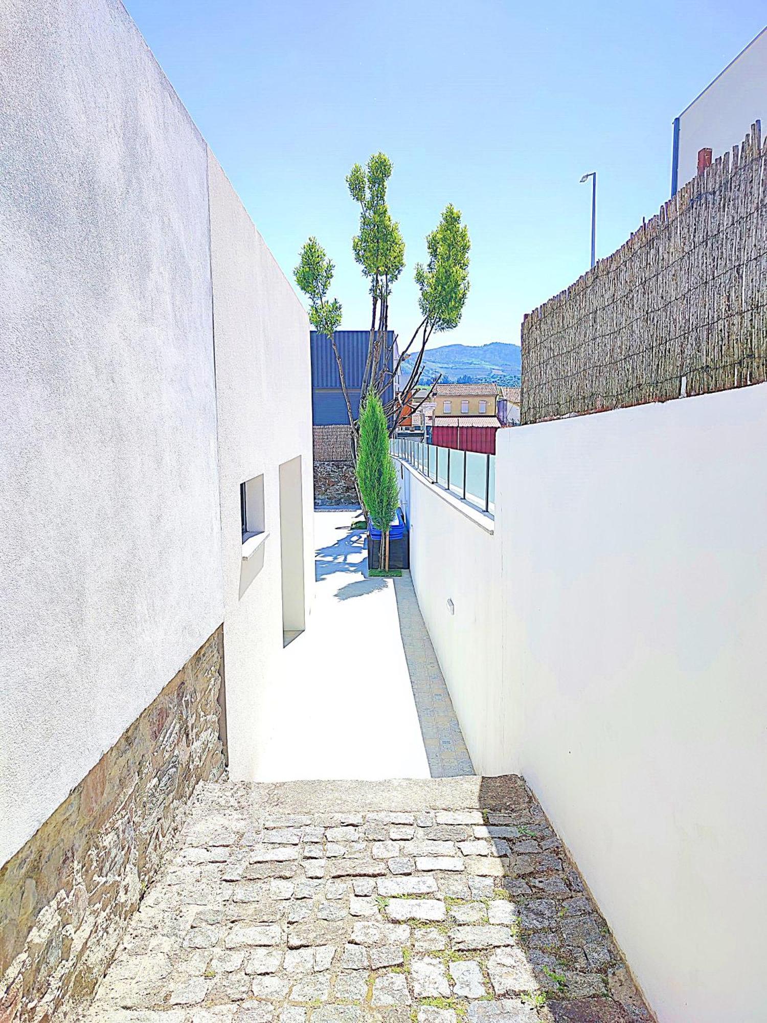 Casa do Salgueiral Douro Peso da Régua Exterior foto