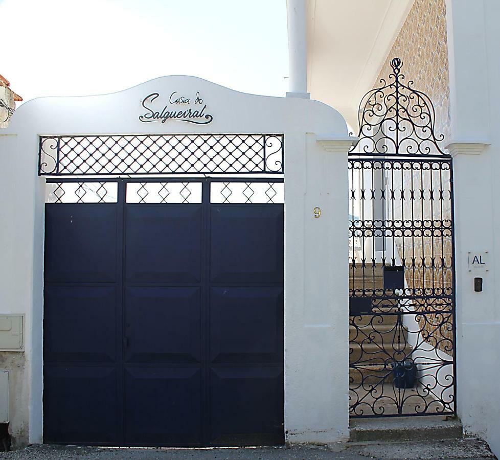 Casa do Salgueiral Douro Peso da Régua Exterior foto
